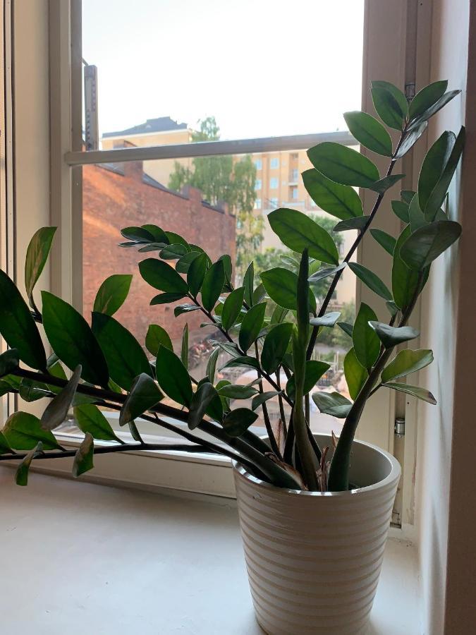 Big Studio Close To Center With Wifi Lägenhet Helsingfors